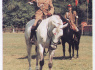 Janek Kowalczyk (fotografię wykoał mój zięć).