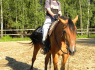 Wnuczek Paweł w ośrodku Aleksandra Jarmuły 2010 r.